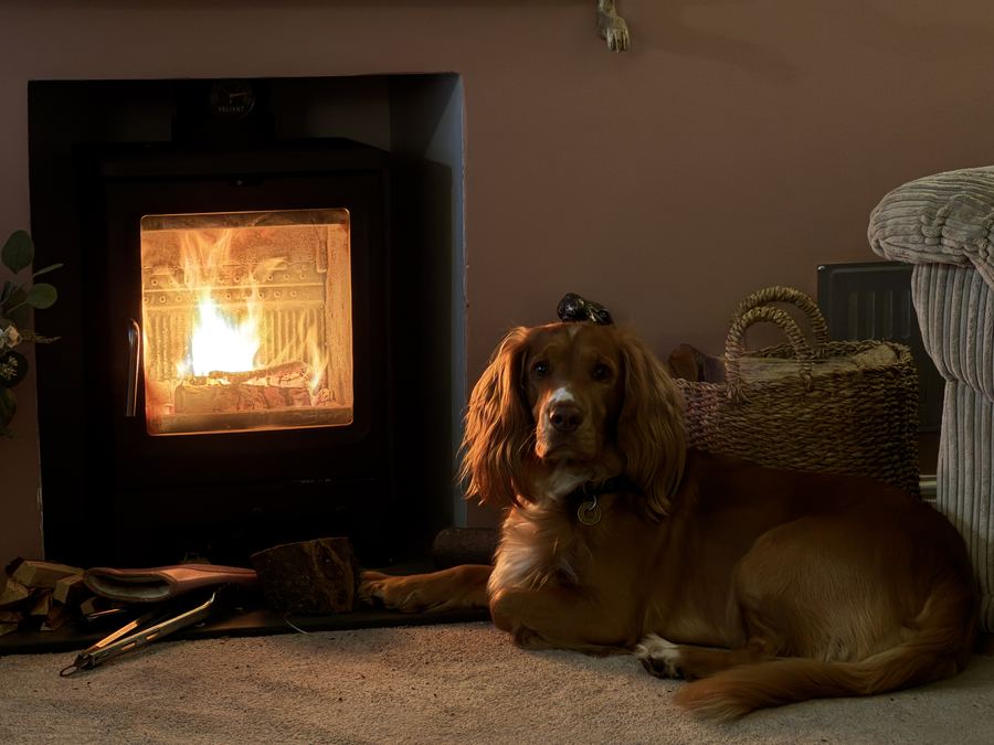 A spaniel asleep on the floor beside a lit woodburning stove in a warm sitting room